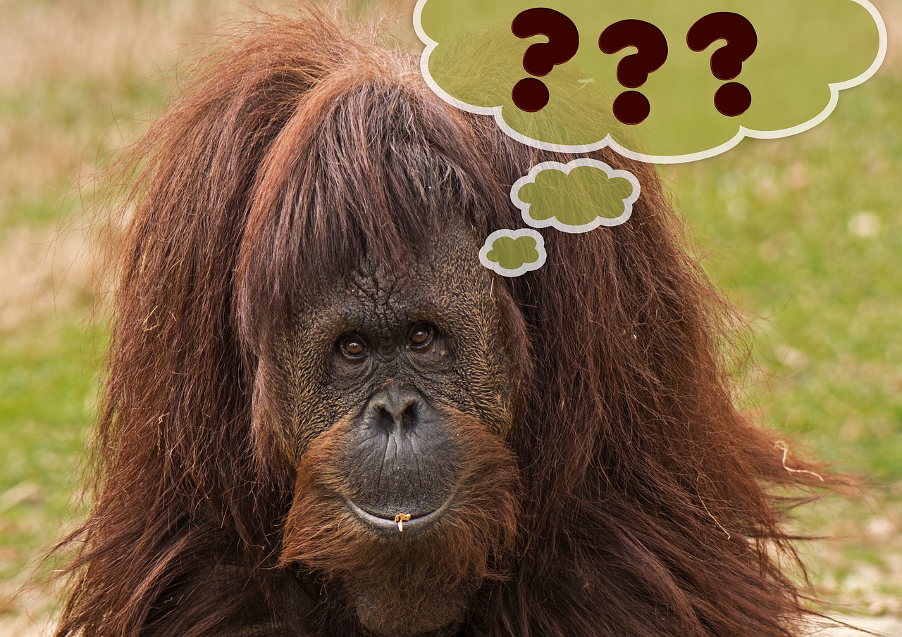 The Benefits of Using Open-Ended Questions in Surveys